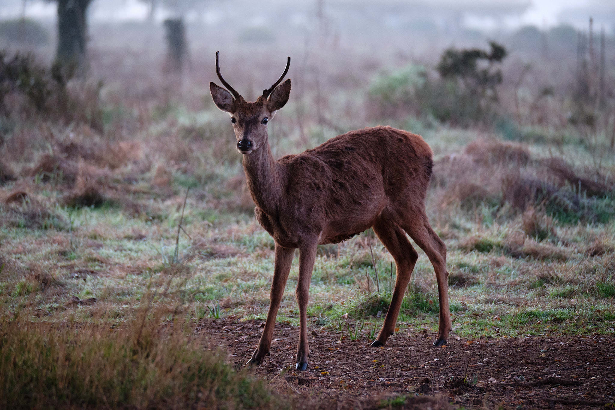Spanien - Andalusien / Spain - Andalusia
